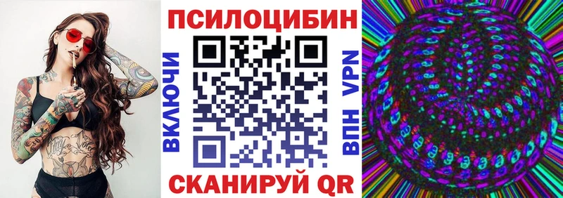 закладки Тетюши Галлюциногенные грибы Psilocybe